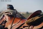 saddle
